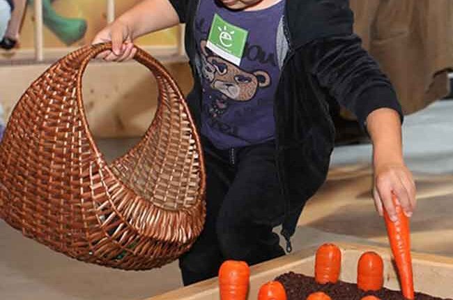 Bambina raccoglie carote nell'orto didattico